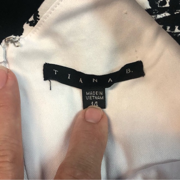 Tiana B Sundress Neutral Floral V Back Inset Stripes Pleated Skirt - Picture 7 of 10